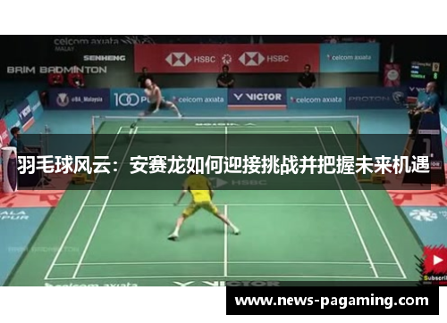 羽毛球风云：安赛龙如何迎接挑战并把握未来机遇