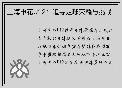 上海申花U12：追寻足球荣耀与挑战