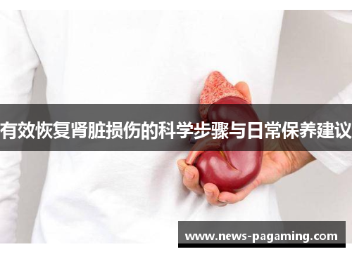 有效恢复肾脏损伤的科学步骤与日常保养建议