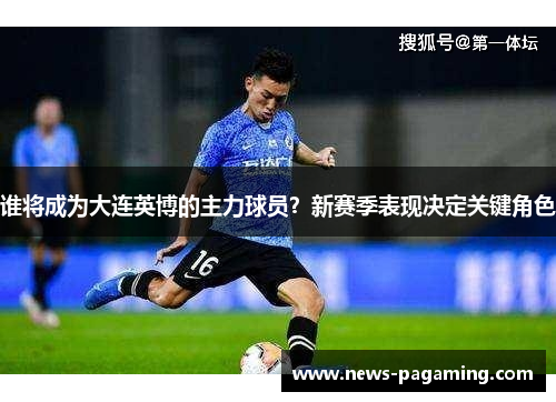 谁将成为大连英博的主力球员？新赛季表现决定关键角色