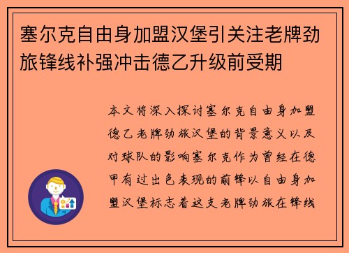 塞尔克自由身加盟汉堡引关注老牌劲旅锋线补强冲击德乙升级前受期