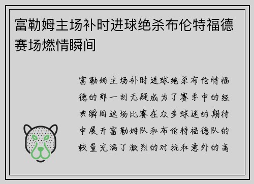 富勒姆主场补时进球绝杀布伦特福德赛场燃情瞬间