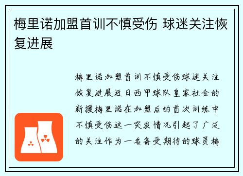 梅里诺加盟首训不慎受伤 球迷关注恢复进展